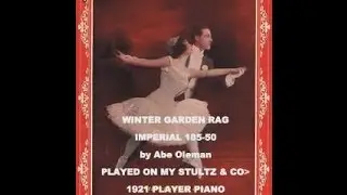 WINTER  GARDEN   RAG  - IMPERIAL MUSIC ROLL
