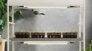 Get a Green Thumb  with Vego's Grow Light Garden!