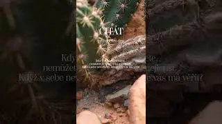 ASMR for a better morning | quote for every day ☀️