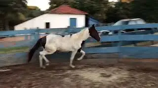 Ben Hur do Cruz Val