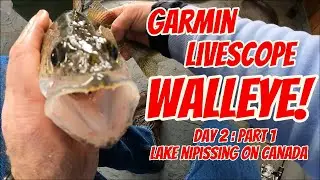 Garmin Livescope для подледной рыбалки на судака
