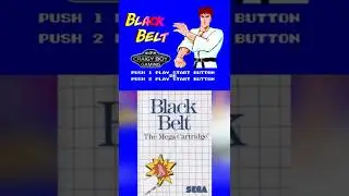 Black Belt (SEGA Master System) &mdash; настоящий ретро-нокаут! #sega #retrogamingfun #mastersystem #8bit