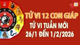 Tử vi tuần mới 12 con gi&aacute;p từ 26/1 đến 1/2/2026 mới nhất, đầy đủ nhất | Tử vi 24h | TV24h