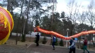 VIDEO0011