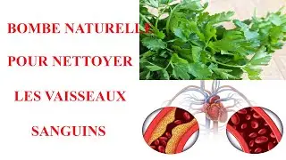 Bombe Naturelle Pour Nettoyer Les Vaisseaux Sanguins Et Normaliser La Pression Art&eacute;rielle.