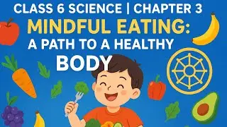 Class 6 Science  Chapter 3 Mindful Eating: A Path to a Healthy Body NCERT Curiosity Quick Revision 