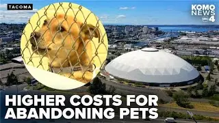 Pet abandonment rises in Pierce County as Humane Society increases surrender fees