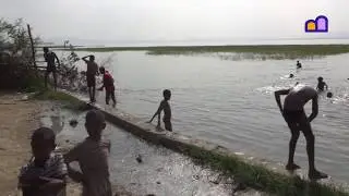 Ethiopia - Awasa - Lake life and birds