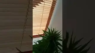 Fruit punch big Bertha 2017 guerrilla grow