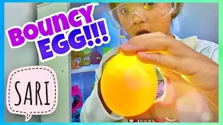 Sari&rsquo;s Colorful Bouncy Eggs Science Experiment | Fun New Experiments for Kids