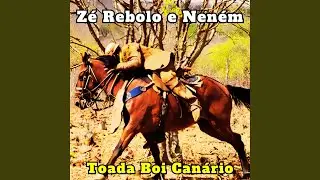 Toada Boi Can&aacute;rio