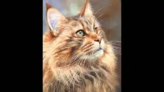 Дикие животные английского художника Devid Stribbling