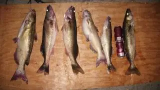 JTO #53 : JIGGING FOR WALLEYE