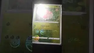 cool Japanese reverse holo