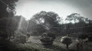 Reythex - Shadowveil.. (Official Audio)