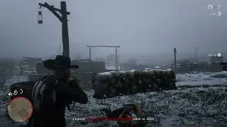Red Dead Redemption 2 Bounty Hunter Fail