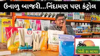 બાજરી ખાવા માટે સુપર. ઉતારો સારો. તેમાં નિંદામણ દવા ની માહિતી. #khetikasagar #બાજરી 