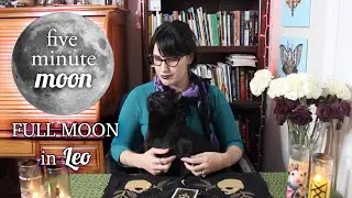 Five Minute Moon | Full Supermoon Moon in Leo | Tarot Reading & Astrology Forecast