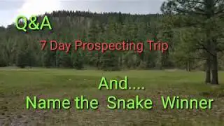Questions and Answers  Desert Prospecting and Name the Snake Winner