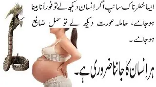 Snake videoDanger Snakes Video- snake danger Iraq- Sham snake video- full explained- with all detail