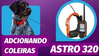 Como adicionar coleiras ao Garmin Astro 320