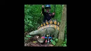 July 2021 snake mountain archery 3D shoot #Ghost802 #thearcheryshack #AAE #VIPBroadheads