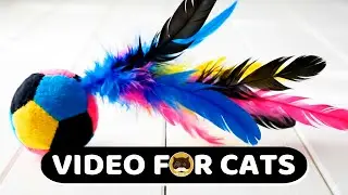 CAT GAMES - Catch the Colorful Plush Feather Ball! Fun Screen Toy for Cats | Videos for Cats |CAT TV