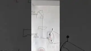 Crash Course -- CNS 2 -- 11 Oct 2018 -- [ sesnsory : Neuronal pool ]
