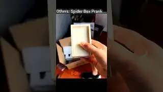 Others: Spider Box Prank&hellip; This One ☠️