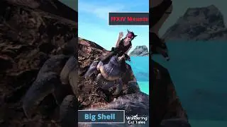 FFXIV Mounts: Big Shell