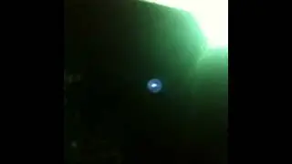 Forest Fright