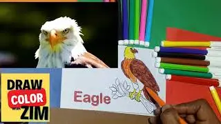 Eagle Coloring Page for Kids 🦅 | Beautiful & Easy Coloring