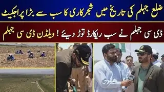 Largest tree plantation project in Jhelum district's history - DC Jhelum breaks all records