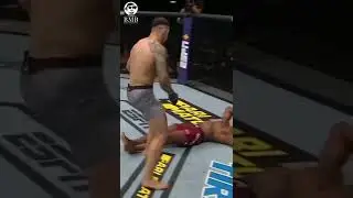 Powerful Kick KO 😳 #ufc #mma #knockout #short #wow   #shortvideo #shorts