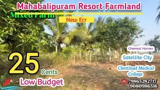 ID1633🛖25cent Ecr Resort Farmland Sale chennai🌴Mahabalipuram🌴Satellite city🌴Medical College🌴Mr.Ashi 