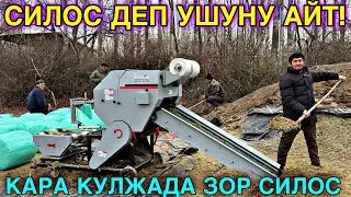 СИЛОСТУН САПАТТУУСУ ЧЫКТЫ МЫНА 🤯#байтв 