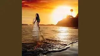 섬 D island