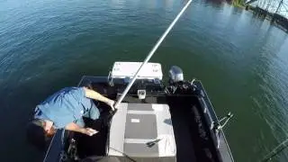 Columbia river fall chinook 2016