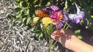 Magical Solar Butterfly & Dragonfly Lights &ndash; Swaying Garden Decor! 🌿✨