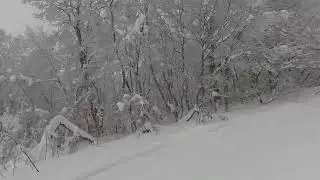Meanwhile in #Snow #Snowing #Blizzard conditions in #ZAO #Yamagata #Japan 