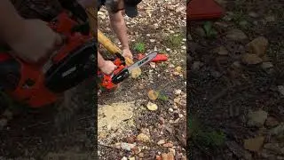 ECHO DCS-2500T #chainsaw #electric #forest