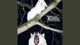 YEAR OF THE RABBIT.
