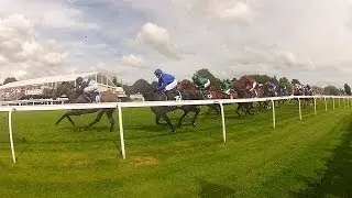 2014 Epsom Derby Walkabout by VeeDubRacing