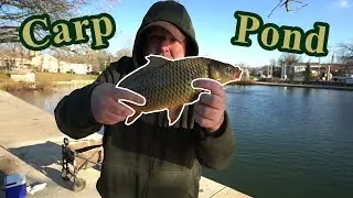 Carp Fishing In A Pond Full Of Trout!!!