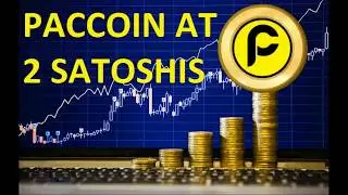 PACCOIN hits 2 Satoshis in two+ exchanges