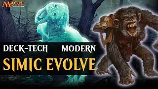 TANI MODERN DECK #1 - Simic Evolve - Magic: the Gathering Polska
