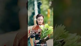 Cine Blur Free Lightroom Mobile Preset❤️ #lightroompresets #preset #freepresets #cinematicpresets