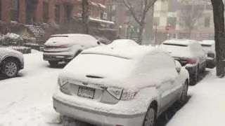 snowing in Carroll Gardens, New York (2-9-17)