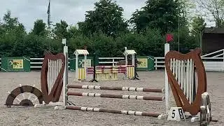 Aisforalfie jumping clear 70cm in Coilog Equestrian Centre