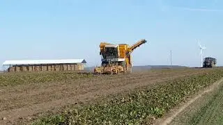 Kampania Buraczana 2019 - W akcji Kleine SF 10-2 & Ursusy 1614